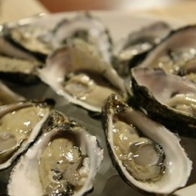 Oysters.